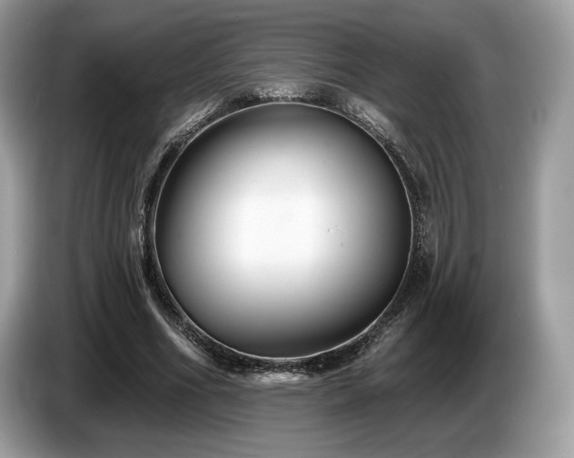 X0000087510586200704271124