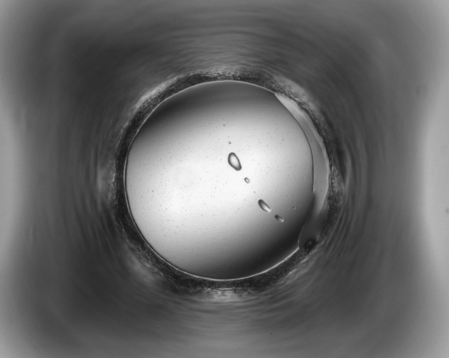 X0000087510588200704271124