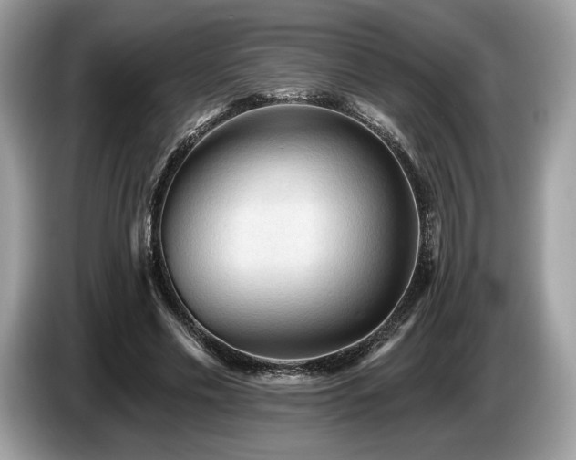 X0000087510589200704271124