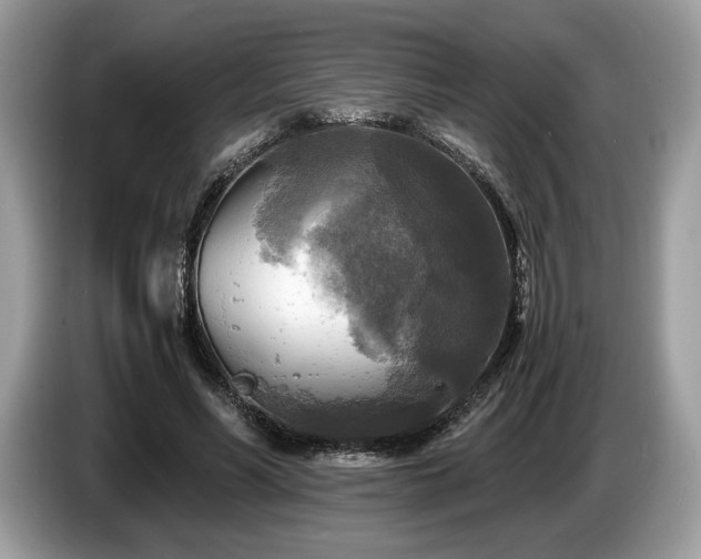 X0000087510590200704271124