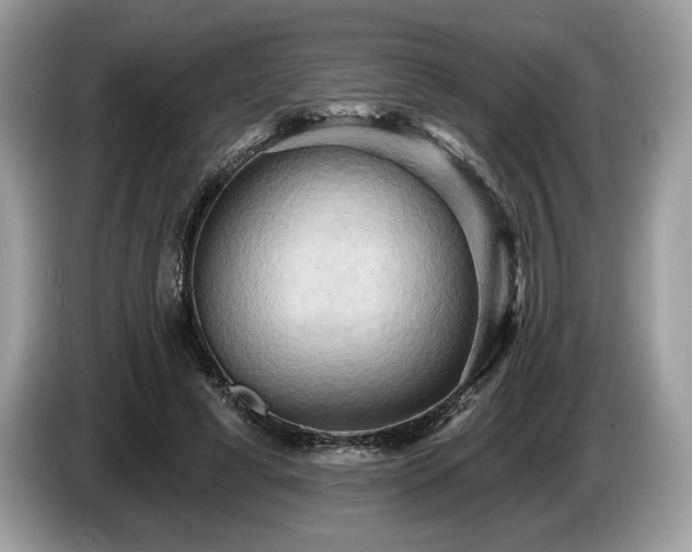 X0000087510593200704271124