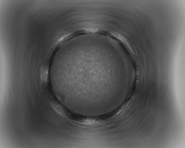 X0000087510596200704271124