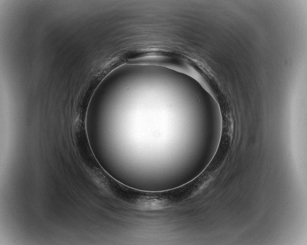 X0000087510597200704271124