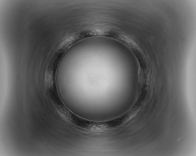 X0000087510599200704271124
