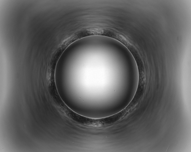X0000087510600200704271124