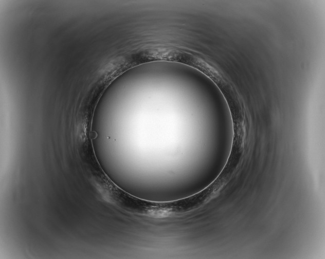 X0000087510602200704271124