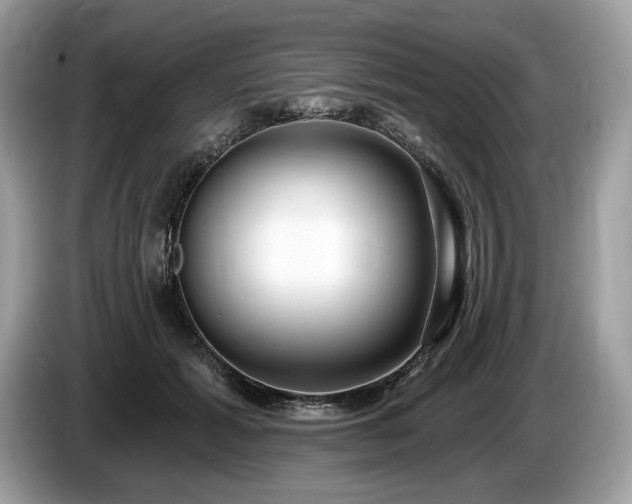 X0000087510605200704271124