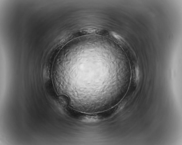 X0000087510606200704271124