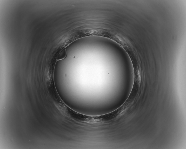 X0000087510607200704271124