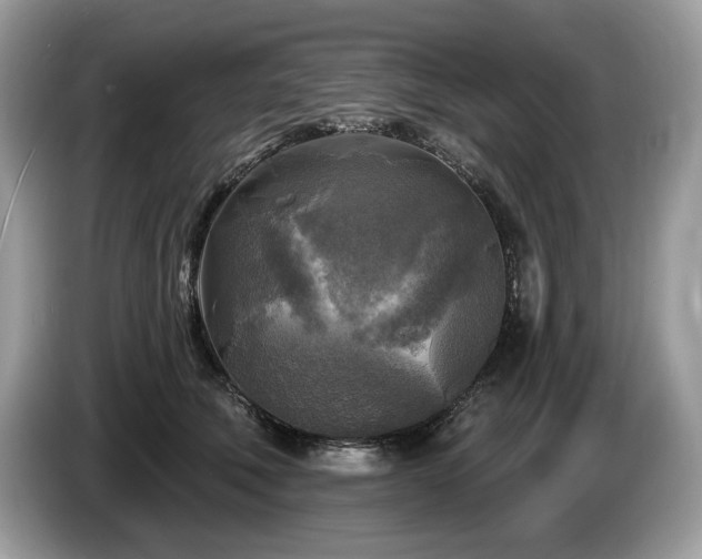 X0000087510610200704271124