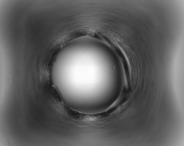 X0000087510613200704271124