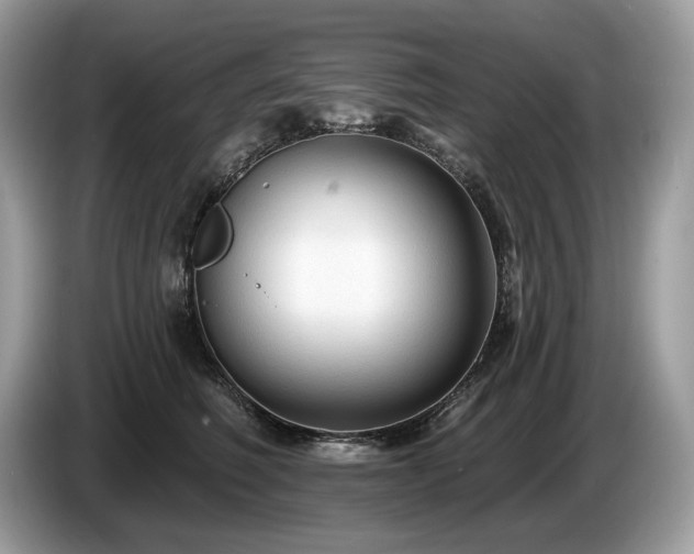 X0000087510614200704271124