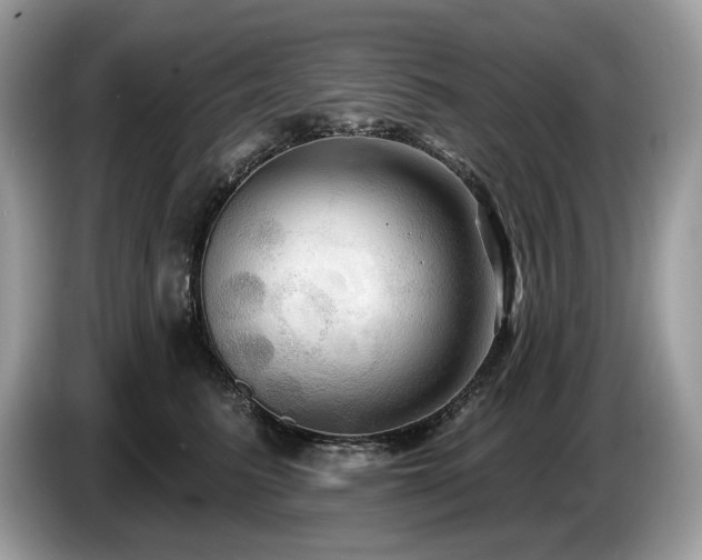 X0000087510615200704271124