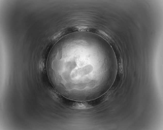 X0000087510618200704271124