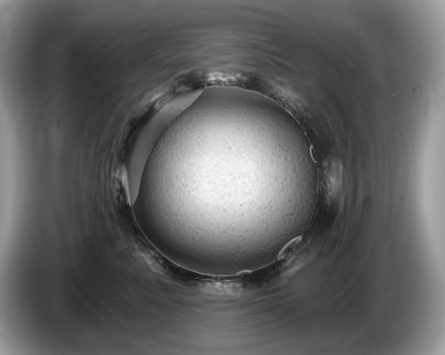 X0000087510619200704271124
