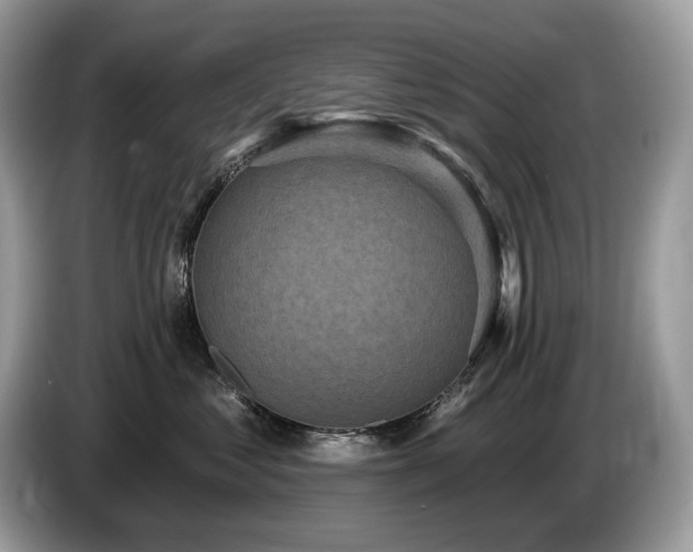 X0000087510621200704271124