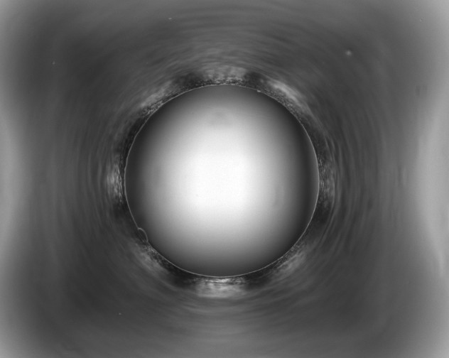 X0000087510622200704271124