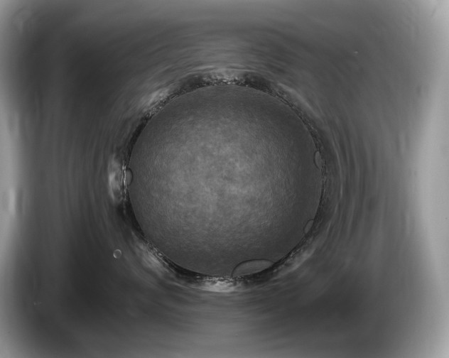 X0000087510624200704271124