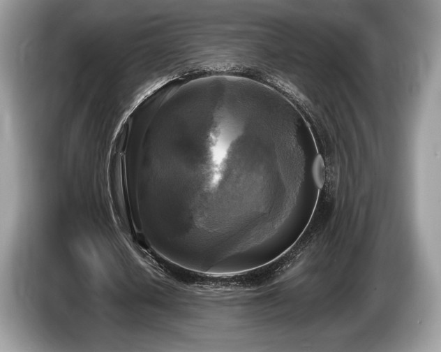 X0000087510626200704271123
