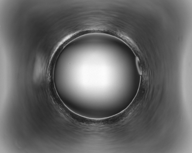 X0000087510628200704271123