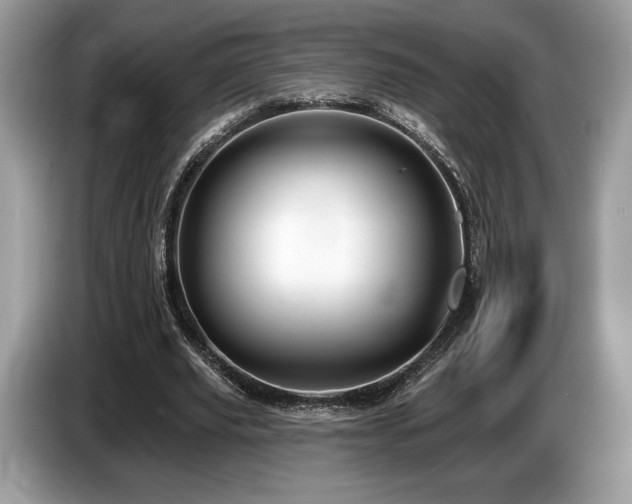 X0000087510629200704271123