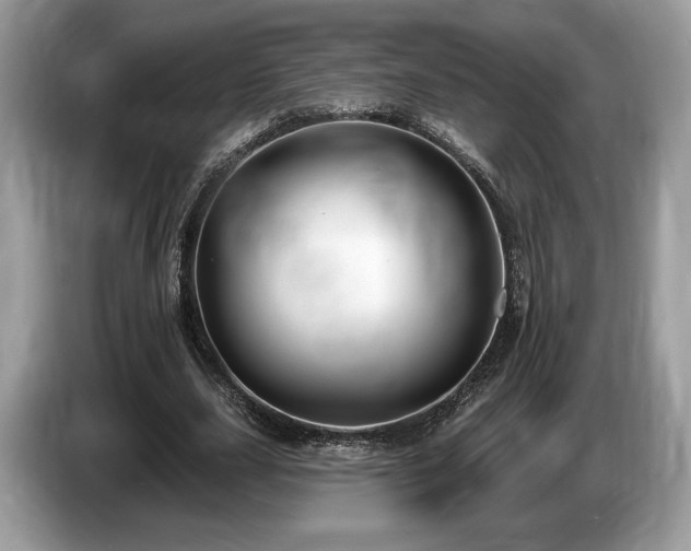 X0000087510631200704271123