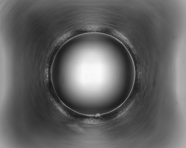 X0000087510633200704271123