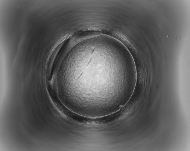 X0000087510634200704271123