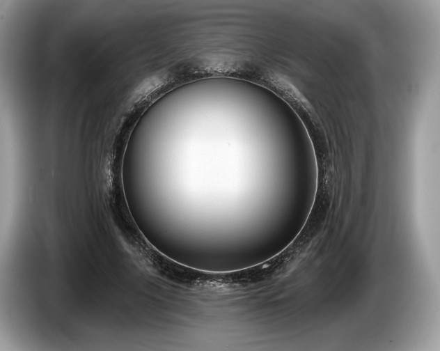 X0000087510635200704271123