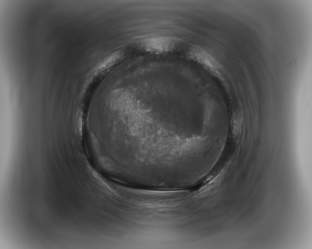 X0000087510637200704271123