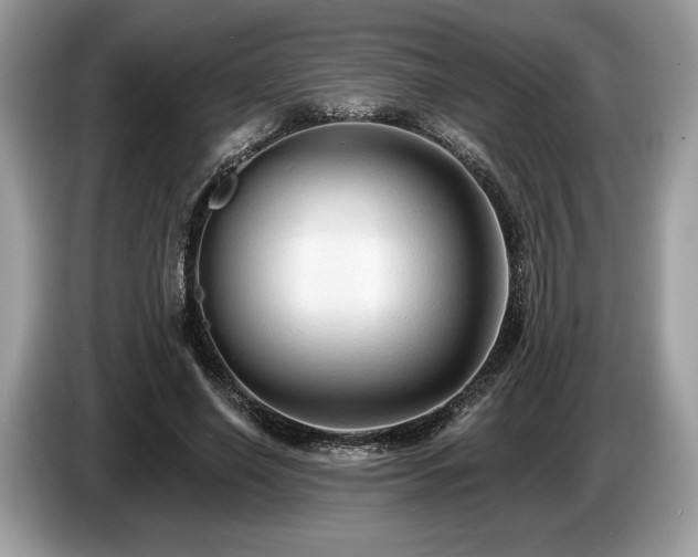 X0000087510638200704271123