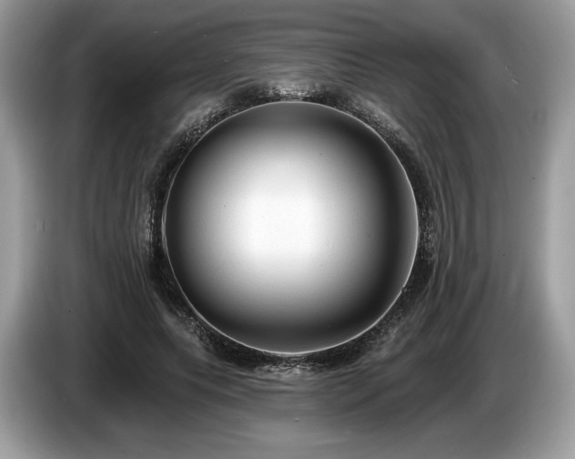 X0000087510639200704271123