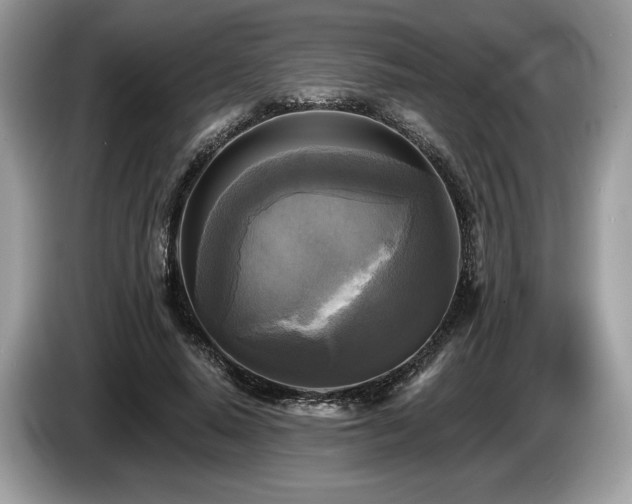 X0000087510640200704271123