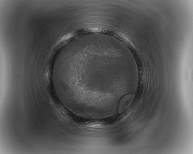 X0000087510643200704271123