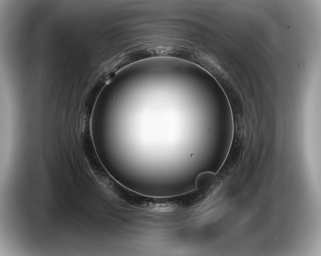 X0000087510645200704271123