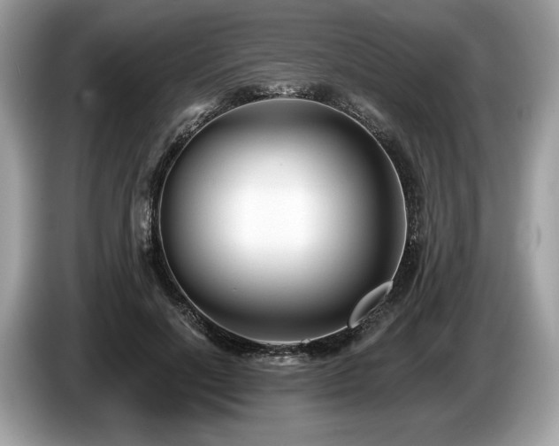 X0000087510646200704271123