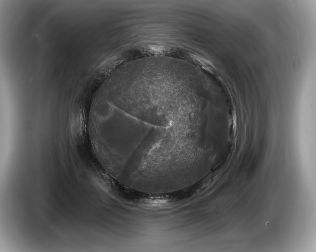 X0000087510651200704271123