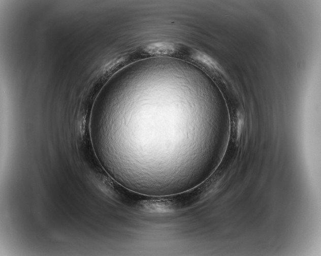 X0000087510652200704271123