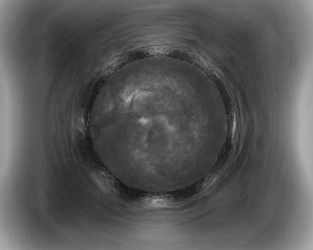 X0000087510655200704271123