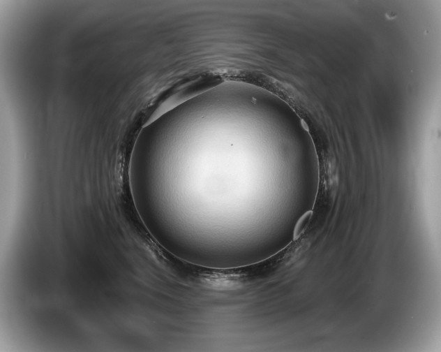 X0000087510664200704271123