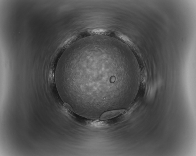 X0000087510669200704271124
