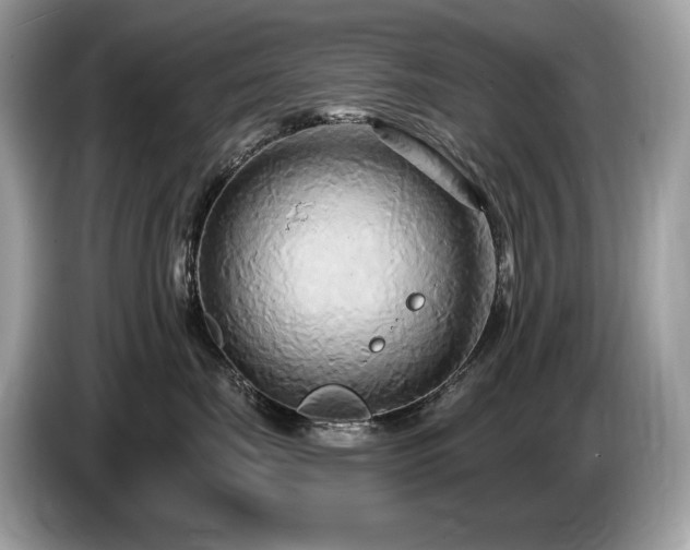 X0000087510671200704271124