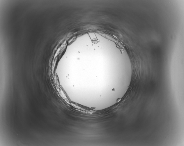 X0000087510672200704271124