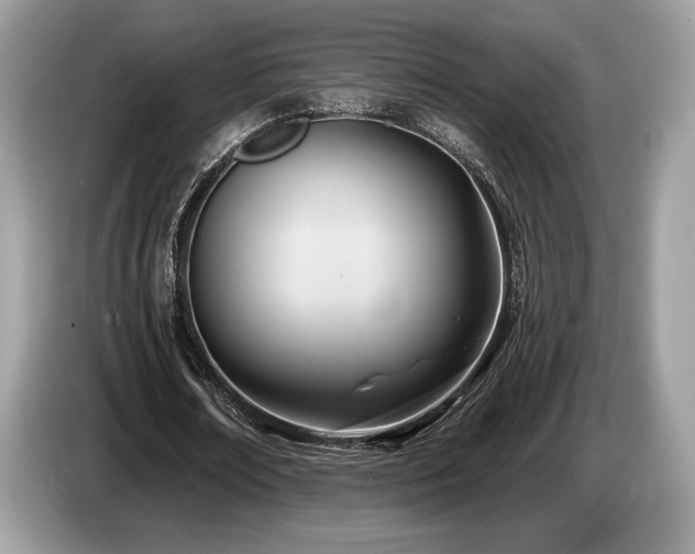 X0000087510674200704271123