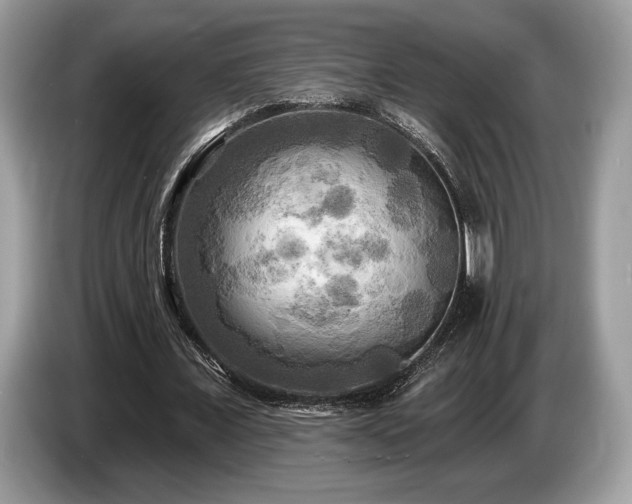 X0000087510675200704271123