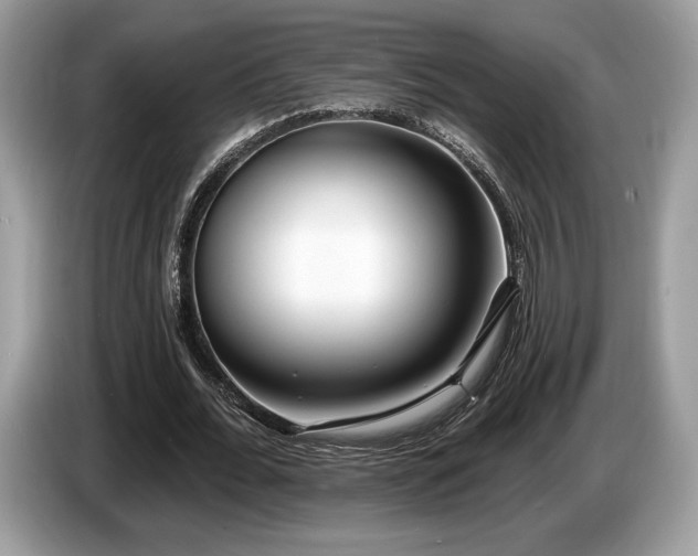X0000087510676200704271123