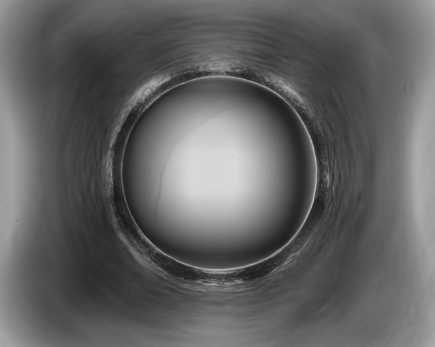 X0000087510678200704271123