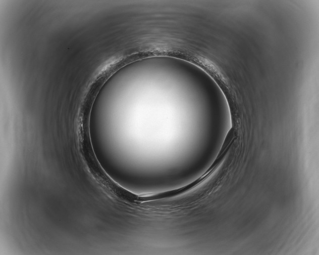 X0000087510680200704271123