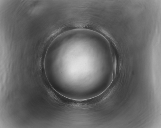 X0000087510681200704271123
