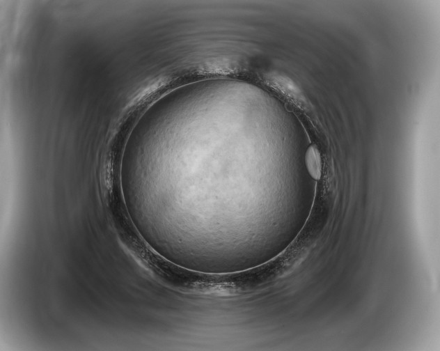 X0000087510683200704271123